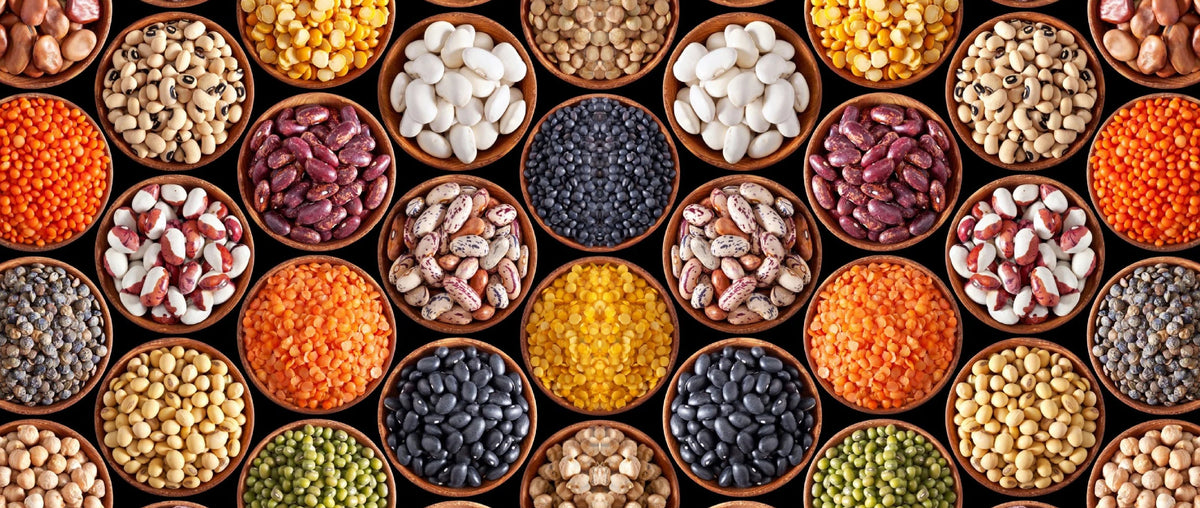 Pulses Include The Health Benefits of Organic Pulses – Gokul Nutrients Private Limited