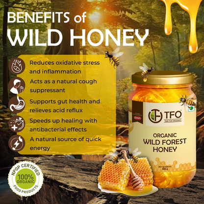 Organic Wild Forest Honey