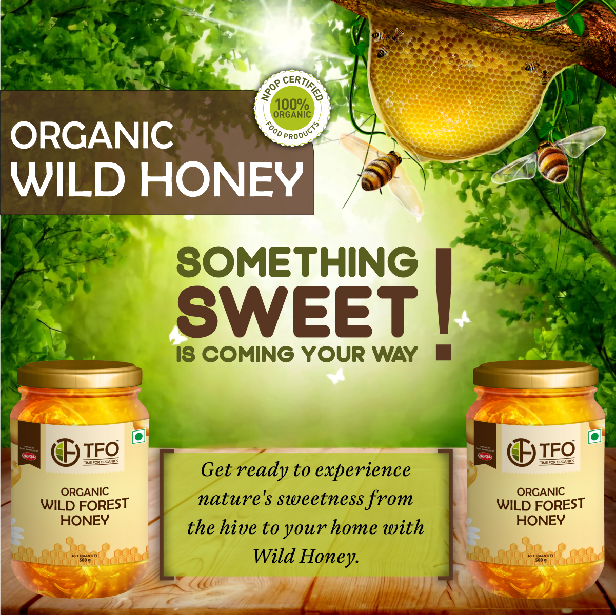 Organic Wild Forest Honey