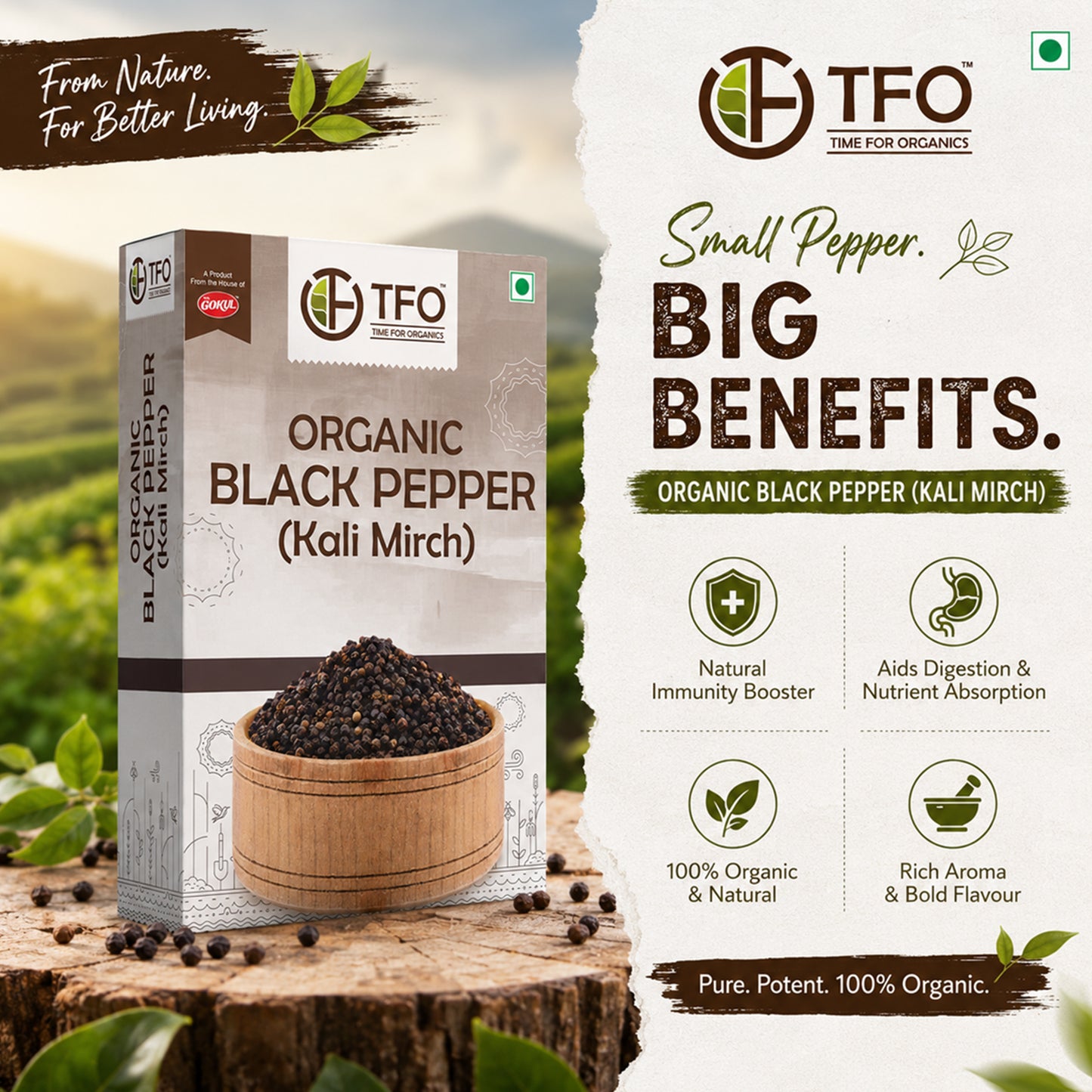 Organic Black Pepper (Kali Mirch)